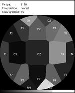 interpolation_output_nearest_bw